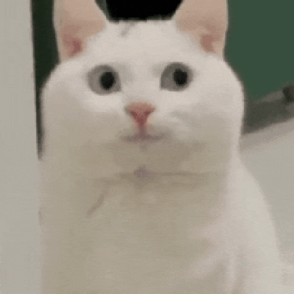 偶然翻出高中这本小收集册，“不是......我那时候到底在想什么啊”