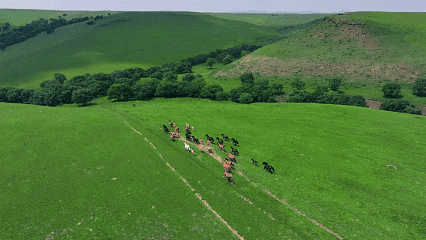 休牧，增收，两不误！