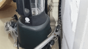 真后怕！剧毒银环蛇藏匿梳妆台，吐蛇信“拒捕”