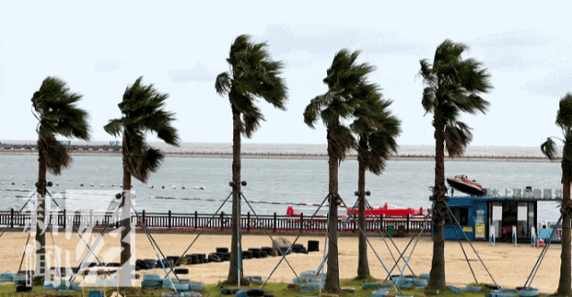 上海人今晚早点回家！台风正在加强！一区已做好停课、停工等准备！