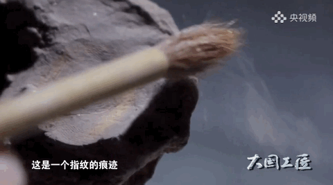 指纹显示，未成年人参与了秦兵马俑的制作