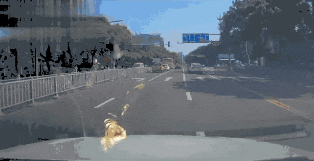 夏日街头再现“避晒式停车”？交警：已有城市对此罚款