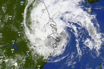 “竹节草”傍晚前后登陆上海！地铁发布运营信息，暴雨预警更新为橙色