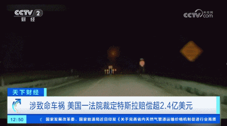 特斯拉，致命车祸！被判赔偿超2亿美元