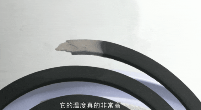被咬了全身痛？应该怎么防？