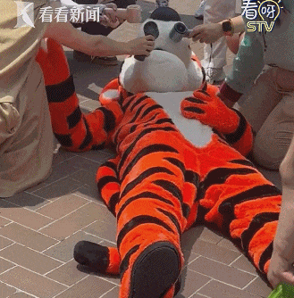 “把衣服脱掉”!上海迪士尼突发,回应→ “把衣服脱掉”!上海迪士尼突发,回应→