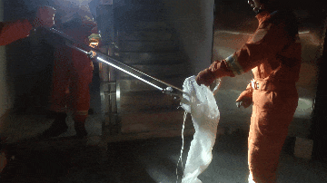 学校宿舍楼惊现眼镜蛇！它藏匿在楼内……遇毒蛇怎么办？