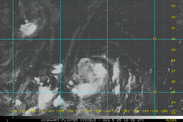 38.4℃!福建即将大反转!台风又有新消息...... 38.4℃!福建即将大反转!台风又有新消息......