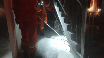 学校宿舍楼惊现眼镜蛇！它藏匿在楼内……遇毒蛇怎么办？