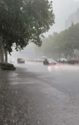 预警升级！郑州、新乡等地发布暴雨红色预警
