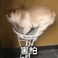 会飞会爬，不少人家中出现“神秘怪虫”！提醒：发现请立刻扔了！