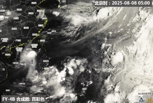 上海天气大反转！傍晚起局部大雨到暴雨！新台风路径突变，最新动态→