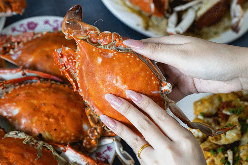 浙江8000余艘渔船出海,透骨新鲜的“虾兵蟹将”上桌啦! 浙江8000余艘渔船出海,透骨新鲜的“虾兵蟹将”上桌啦!