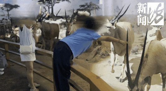 上海热门场馆太乱！多名儿童翻越禁区，家长在旁鼓励！志愿者：以前还有活体被摸死