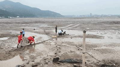 为追跳跳鱼，一男子被“封印”在海滩上 赶海时，这些事项要注意