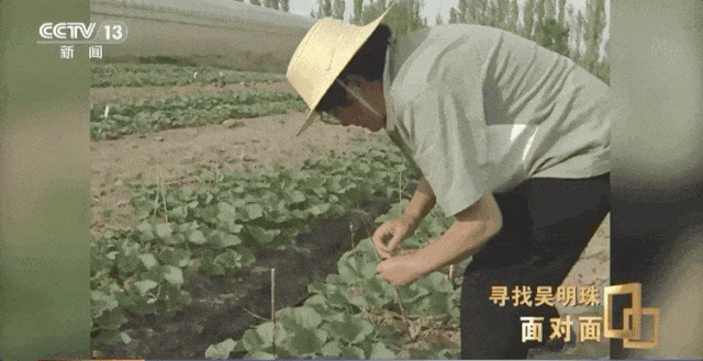 她认不出家人,但还记得这些瓜! 她认不出家人,但还记得这些瓜!