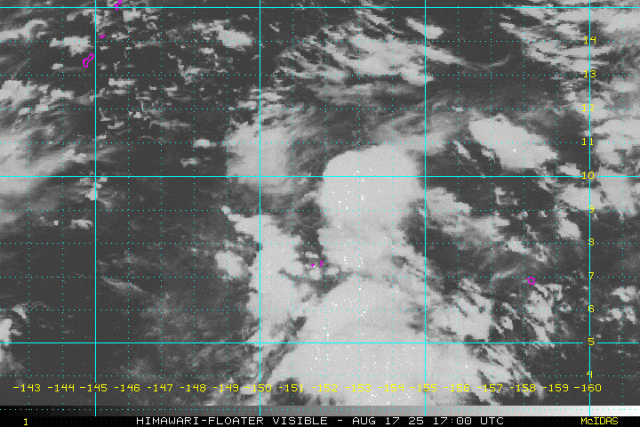 12号台风“玲玲”即将生成！福建局部大雨暴雨