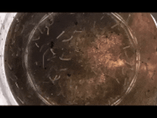 快开学了，这件事一定要注意！