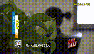 上海"富家女"花光父亲遗产，"吸血"姐姐！身边人都没放过