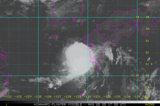 台风“玲玲”生成！局地暴雨+强对流！福建闷热湿的天气又要来了......