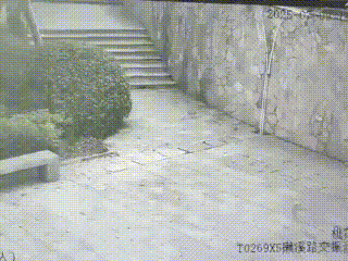 昆明街头惊现长尾大头“异形”？警方出动了…