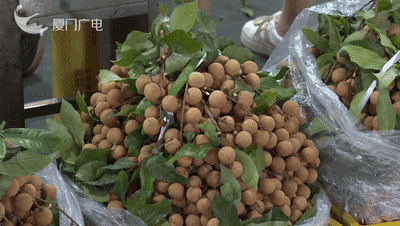 价格“腰斩”！很多人爱吃，正大量上市！