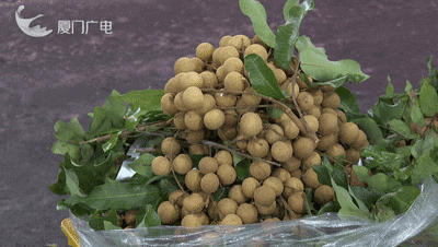 价格“腰斩”！很多人爱吃，正大量上市！