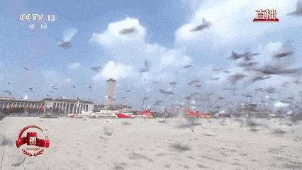 放飞的“和平鸽”是什么鸽？它们是怎么“各回各家”的？