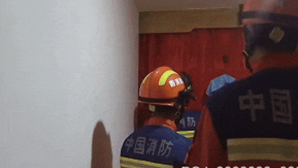 马桶里惊现蝙蝠，女子这样做被咬伤！