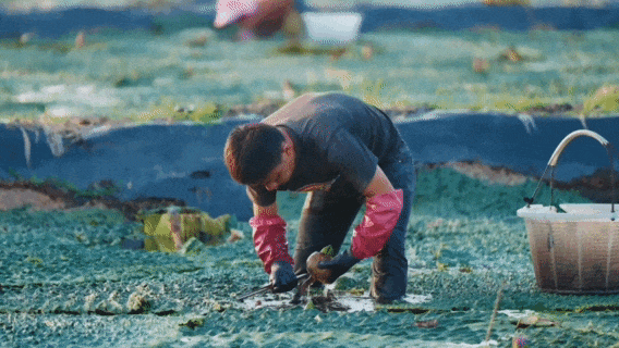 无锡这个村，彻底“出圈”啦