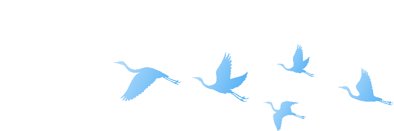 从物候看节气之白露 从物候看节气之白露