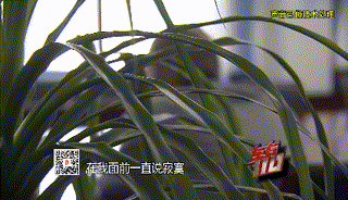 七旬老人四十万积蓄不翼而飞！卡在身边，没绑网银，钱到底是怎么没有的？