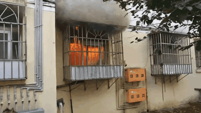 懵了！女子从厕所出来，家中“仙气飘飘”