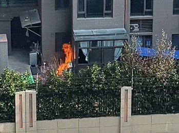 “流浪”的它引燃一楼花园，中心温度竟可达800℃！