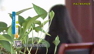 14岁女儿心脏病去世、老父亲被车撞…夫妻俩四处骗得1000多万元，落网后的举动更惊人