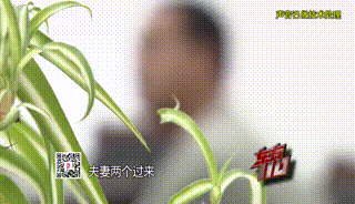 14岁女儿心脏病去世、老父亲被车撞…夫妻俩四处骗得1000多万元，落网后的举动更惊人