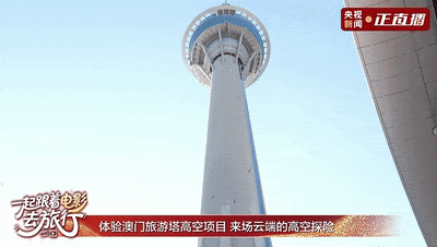 在澳门塔之巅，做一回《捕风追影》的主角