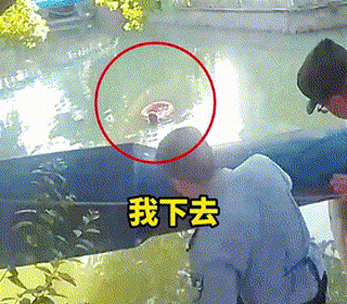 “00后”新警出手，凭实力抢镜！