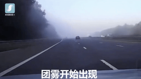 看似“仙境”可能是险境!秋季行车雾里看花要不得 看似“仙境”可能是险境!秋季行车雾里看花要不得