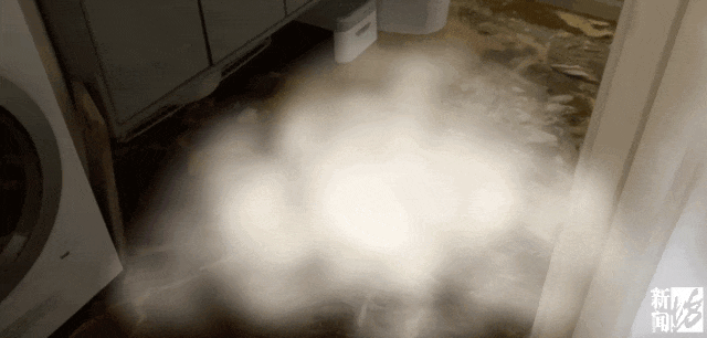 “不止一次！”上海阿姨崩溃，国庆旅游回家，精装房竟变成“化粪池”