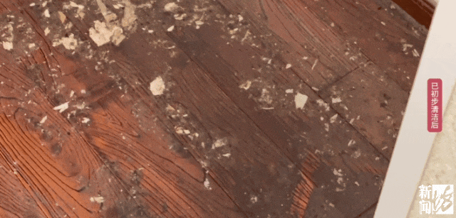 “不止一次！”上海阿姨崩溃，国庆旅游回家，精装房竟变成“化粪池”