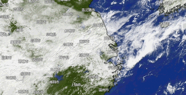上海：天气大转折！又刮风又下雨，终于要入秋了