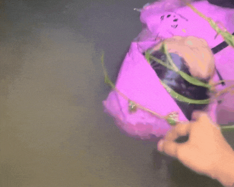 “钓鱼佬”，立大功→