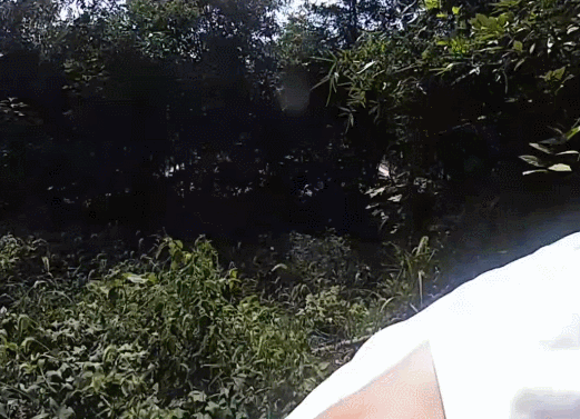 堪比电影剧情！浙江杭州某公墓，民警抓获一嫌疑人，查获假发、人脸面具……