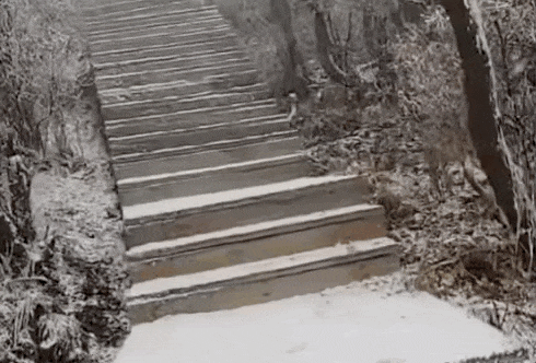 石家庄下雪了!河北雨雪上线!新一股冷空气在路上 石家庄下雪了!河北雨雪上线!新一股冷空气在路上