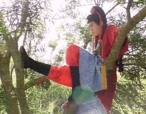 太突然！“最帅展昭”去世……