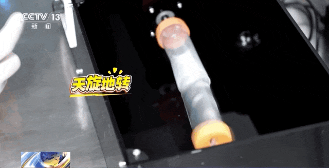 吃得苦中苦，方为航天鼠！