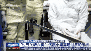 首次上天!4只小鼠已选定→ 首次上天!4只小鼠已选定→