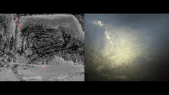 “热成像”助力,警方淤泥中探出“生命信号”…… “热成像”助力,警方淤泥中探出“生命信号”……