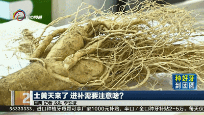 3毫克可致命!“土黄天”进补需注意,这些东西不要吃…… 3毫克可致命!“土黄天”进补需注意,这些东西不要吃……